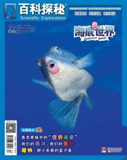 百科探秘·海底世界 21年6月号