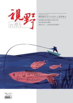 视野 21年第13期