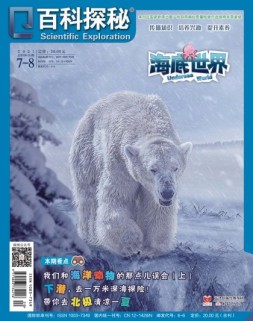 百科探秘·海底世界 21年7-8月号