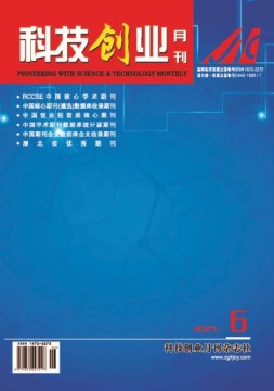科技创业 21年第6期