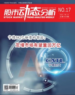 股市动态分析 21年第17期