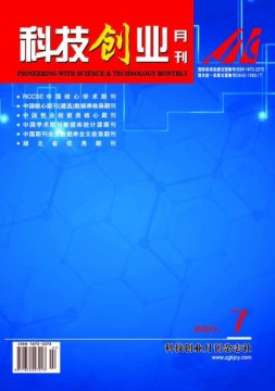 科技创业 21年第7期