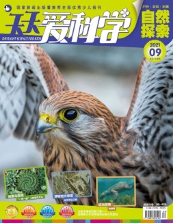 天天爱科学 21年9月号