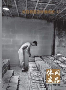 休闲读品·天下 21年第三辑（精华版）