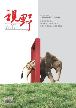 视野 21年第20期