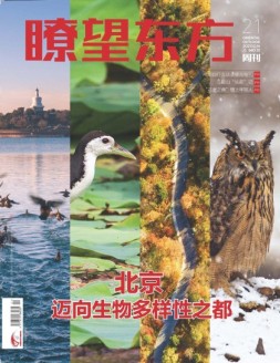瞭望东方周刊 21年第21期