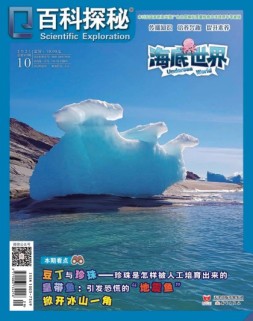百科探秘·海底世界 21年10月号