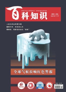 百科知识 21年10月上