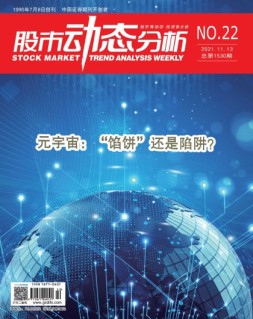 股市动态分析 21年第22期