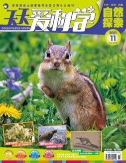 天天爱科学 21年11月号