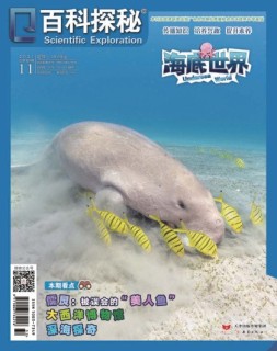 百科探秘·海底世界 21年11月号
