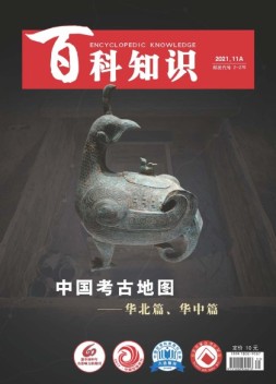 百科知识 21年11月上