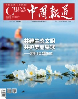 中国报道 21年第11期