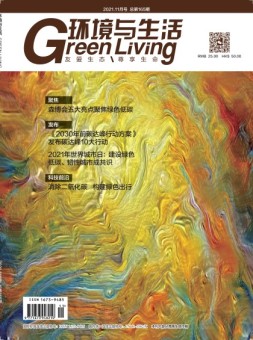 环境与生活 21年11月号