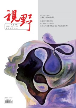 视野 21年第23期
