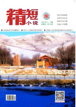精短小说 21年第11-12期