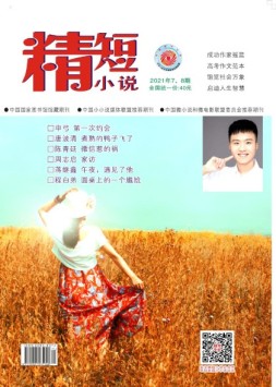 精短小说 21年第7-8期