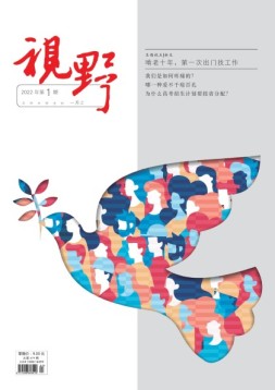 视野 22年第1期