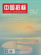中国招标 22年第2期