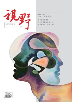 视野 22年第2期