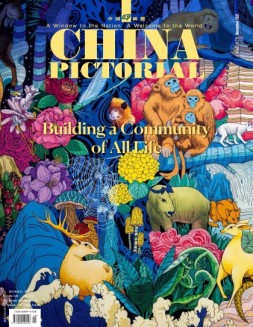 《中国画报》（英文）21年11月号