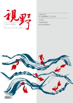 视野 22年第3期