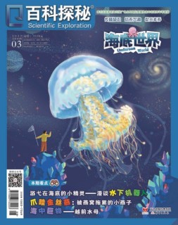 百科探秘·海底世界 22年3月号