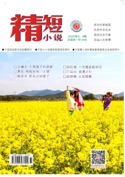 精短小说 22年第3-4期