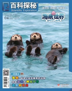 百科探秘·海底世界 22年4月号