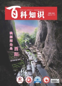 百科知识 22年4月上