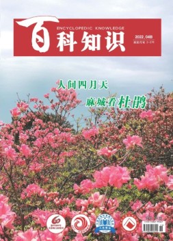 百科知识 22年4月下