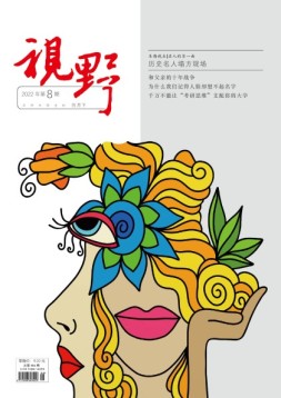 视野 22年第8期