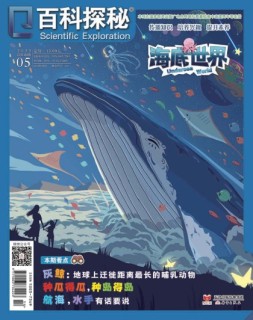 百科探秘·海底世界 22年5月号