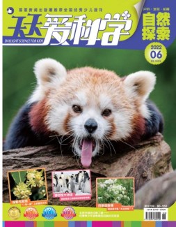 天天爱科学 22年6月号
