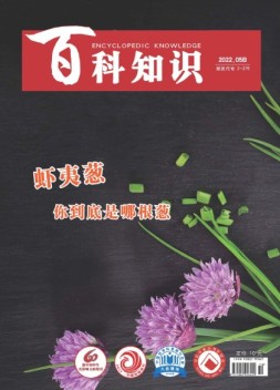 百科知识 22年5月下