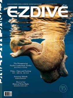 EZDIVE 22年第95期