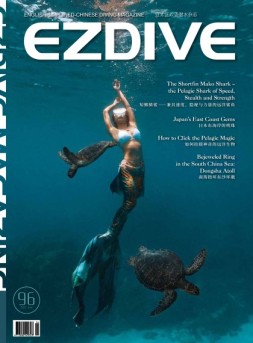 EZDIVE 22年第96期