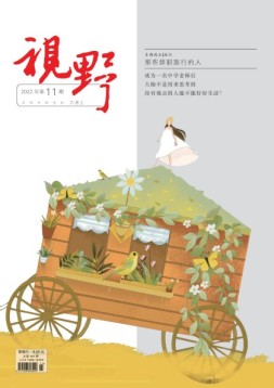 视野 22年第11期