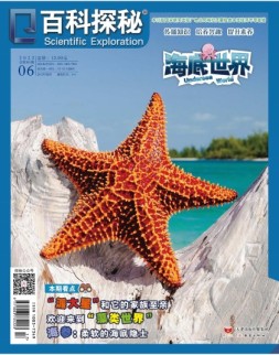 百科探秘·海底世界 22年6月号