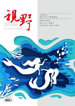 视野 22年第12期