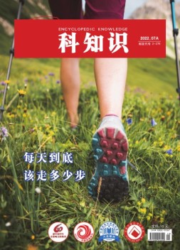 百科知识 22年7月上
