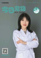 今日宠物 22年第6期