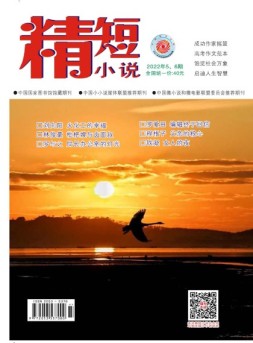 精短小说 22年第5-6期