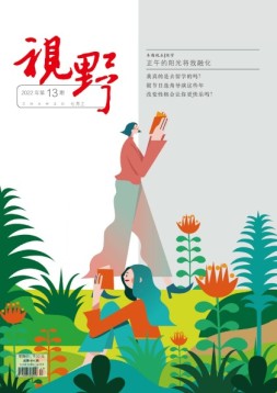 视野 22年第13期