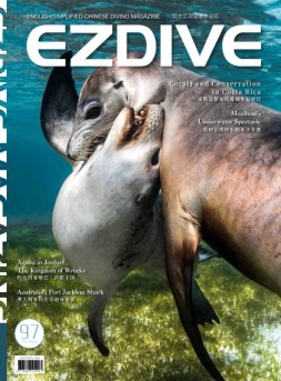 EZDIVE 22年第97期