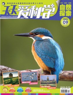 天天爱科学 22年9月号