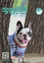 今日宠物 22年第8期