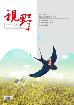视野 22年第17期
