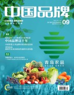 中国品牌 22年第9期