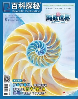 百科探秘·海底世界 22年9月号